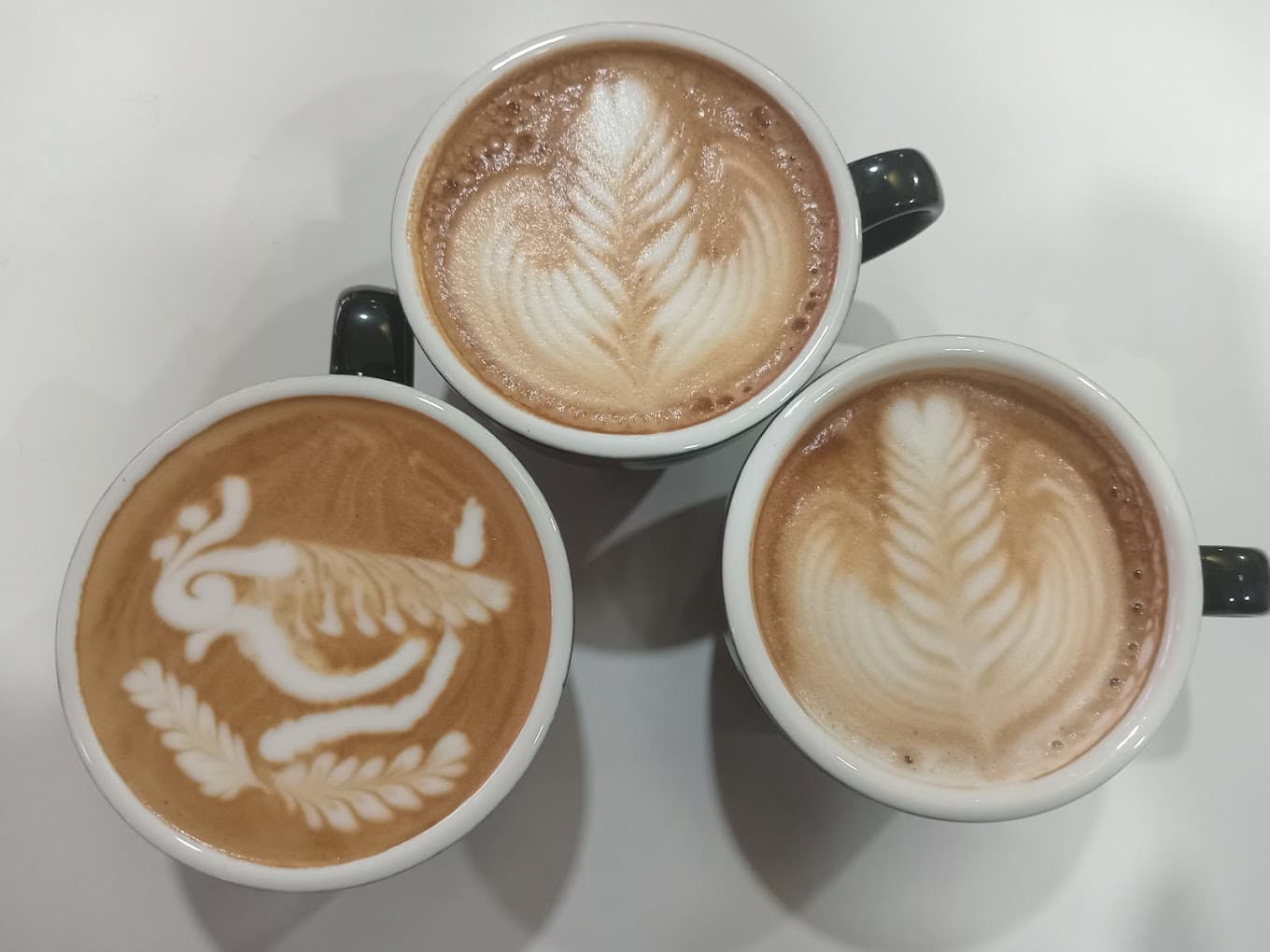 Coffee Tasting