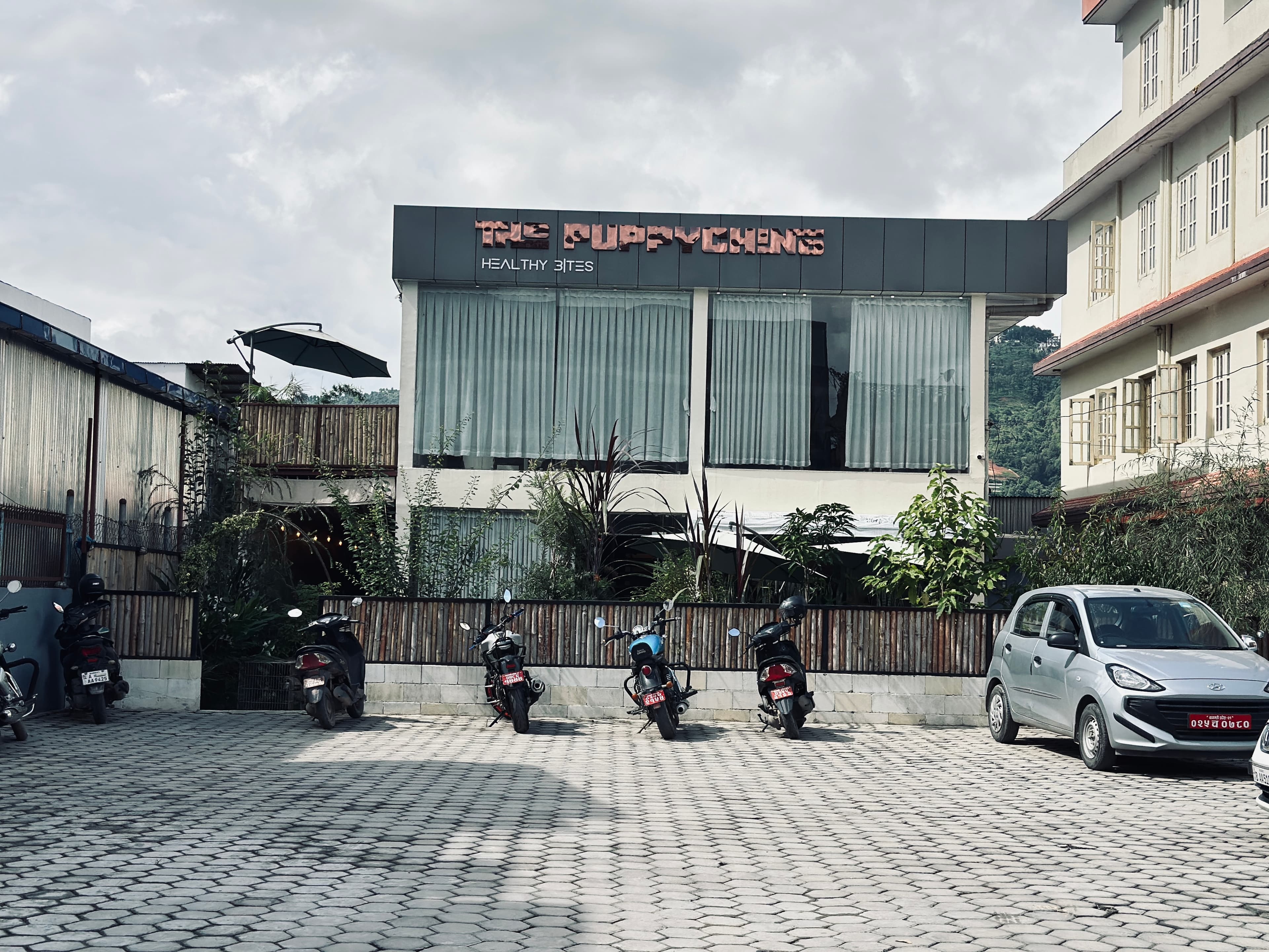 The Puppychino Cafe